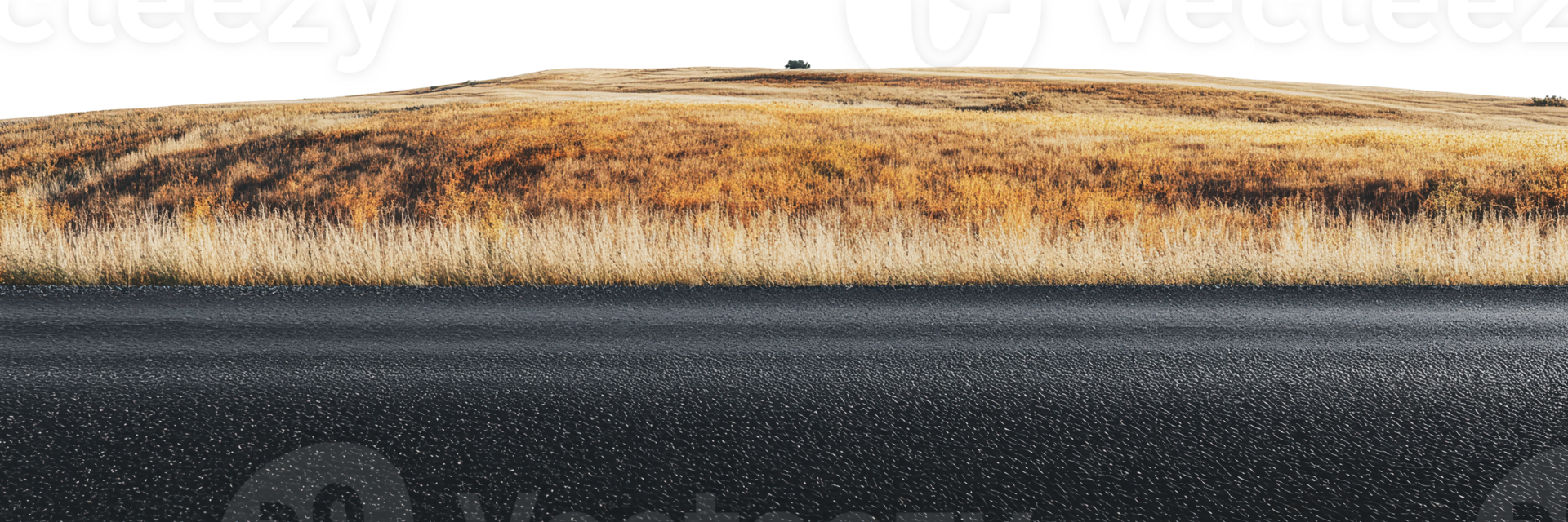 Wide open landscape with grass and road at sunset png