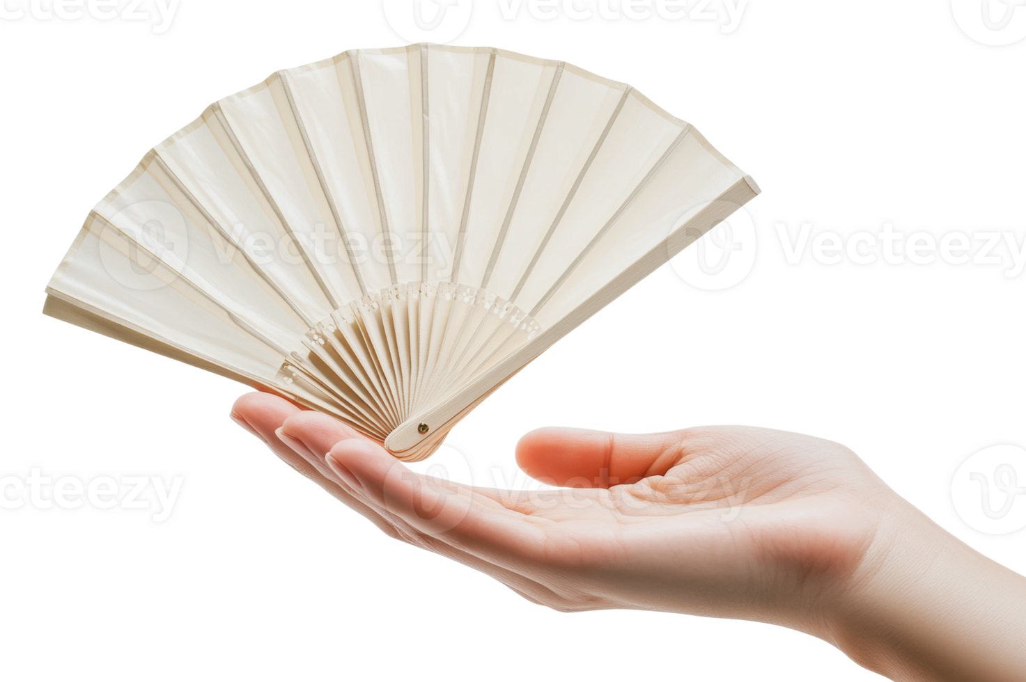 Elegant hand holding a decorative fan png