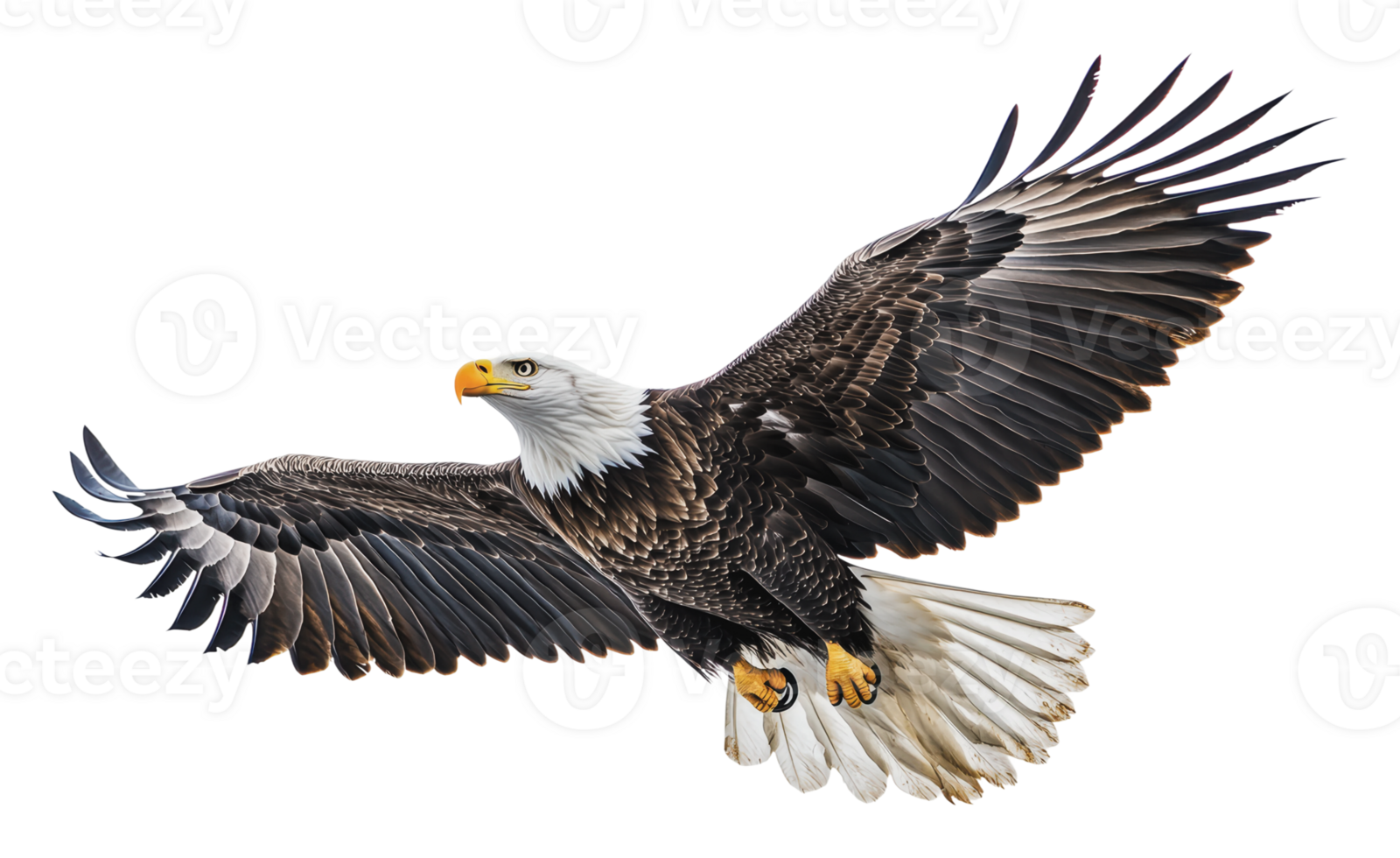 Bald eagle soaring in clear blue sky png