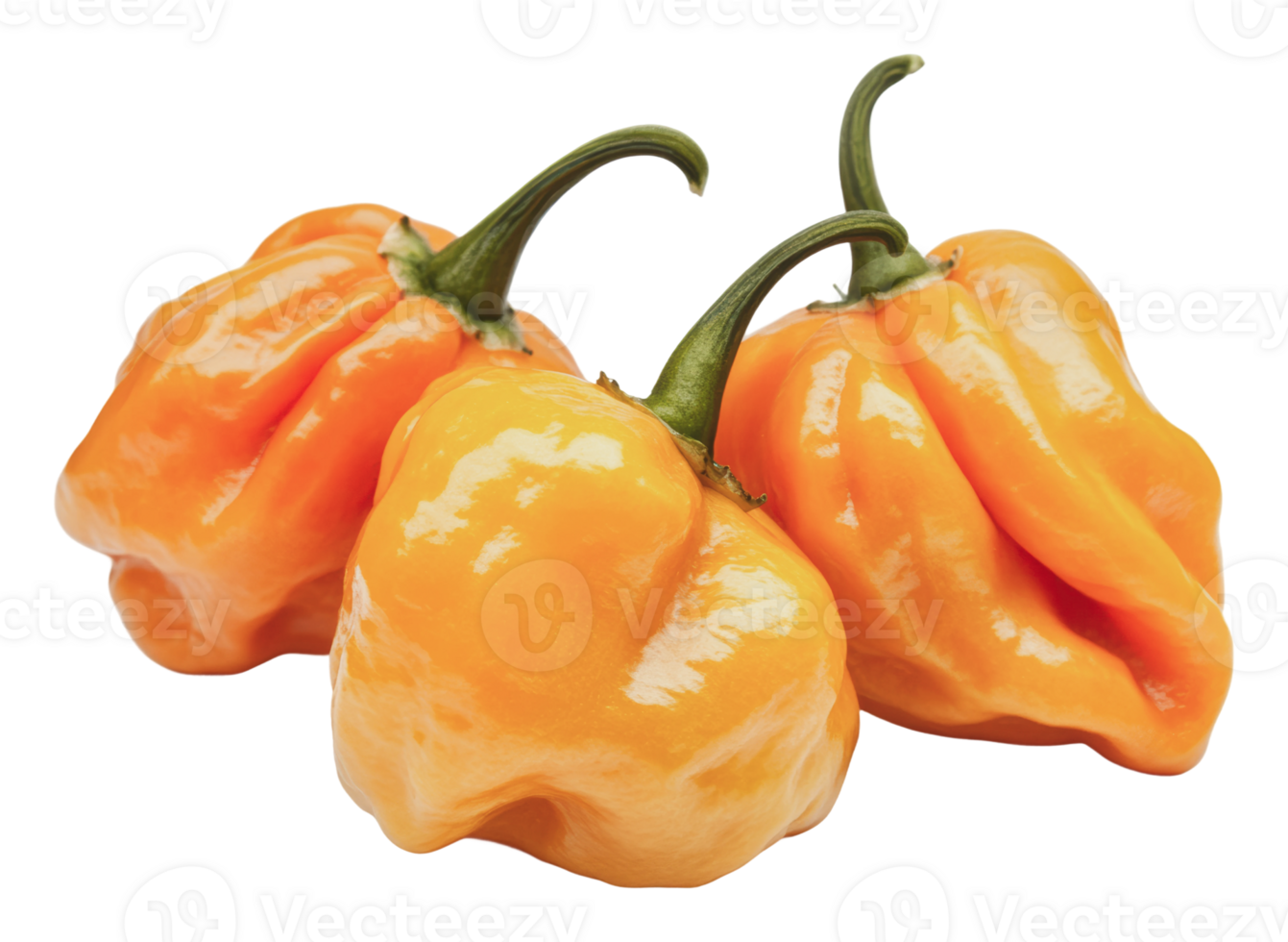 Bright orange habanero peppers ready for cooking png