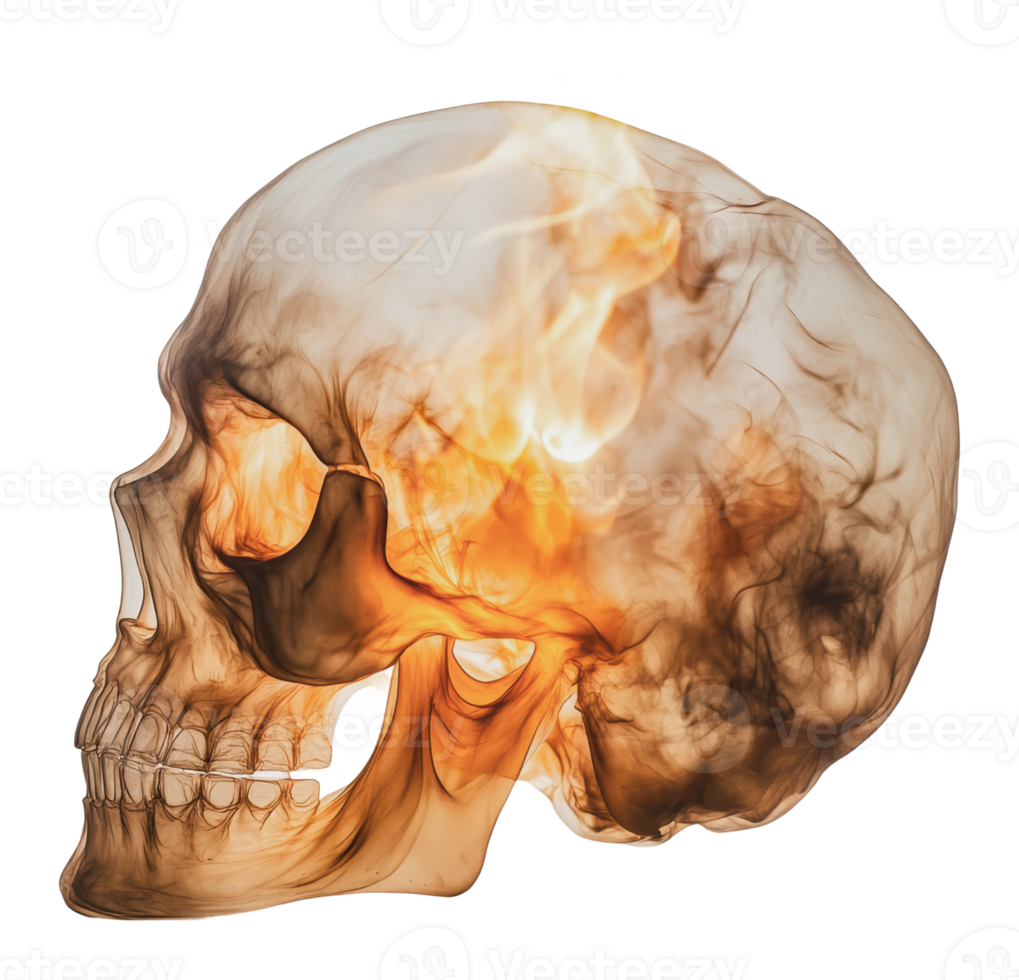 Artistic skull with fiery glow png