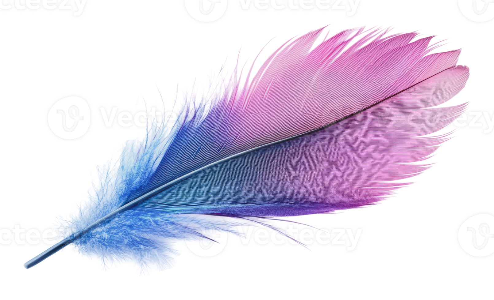 Vibrant feather displaying a gradient of colors png