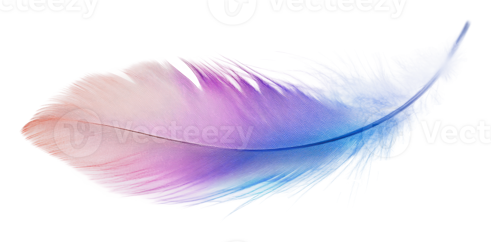 Colorful feather with a gradient in soft tones png