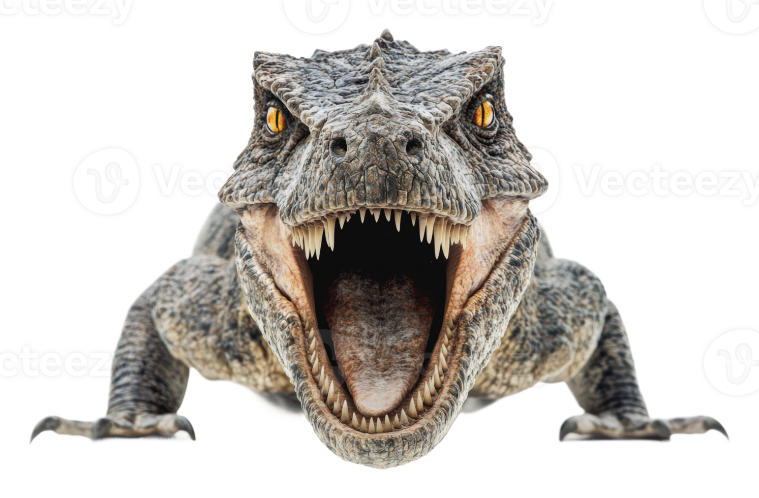 Crocodile roaring with open mouth in clear space png