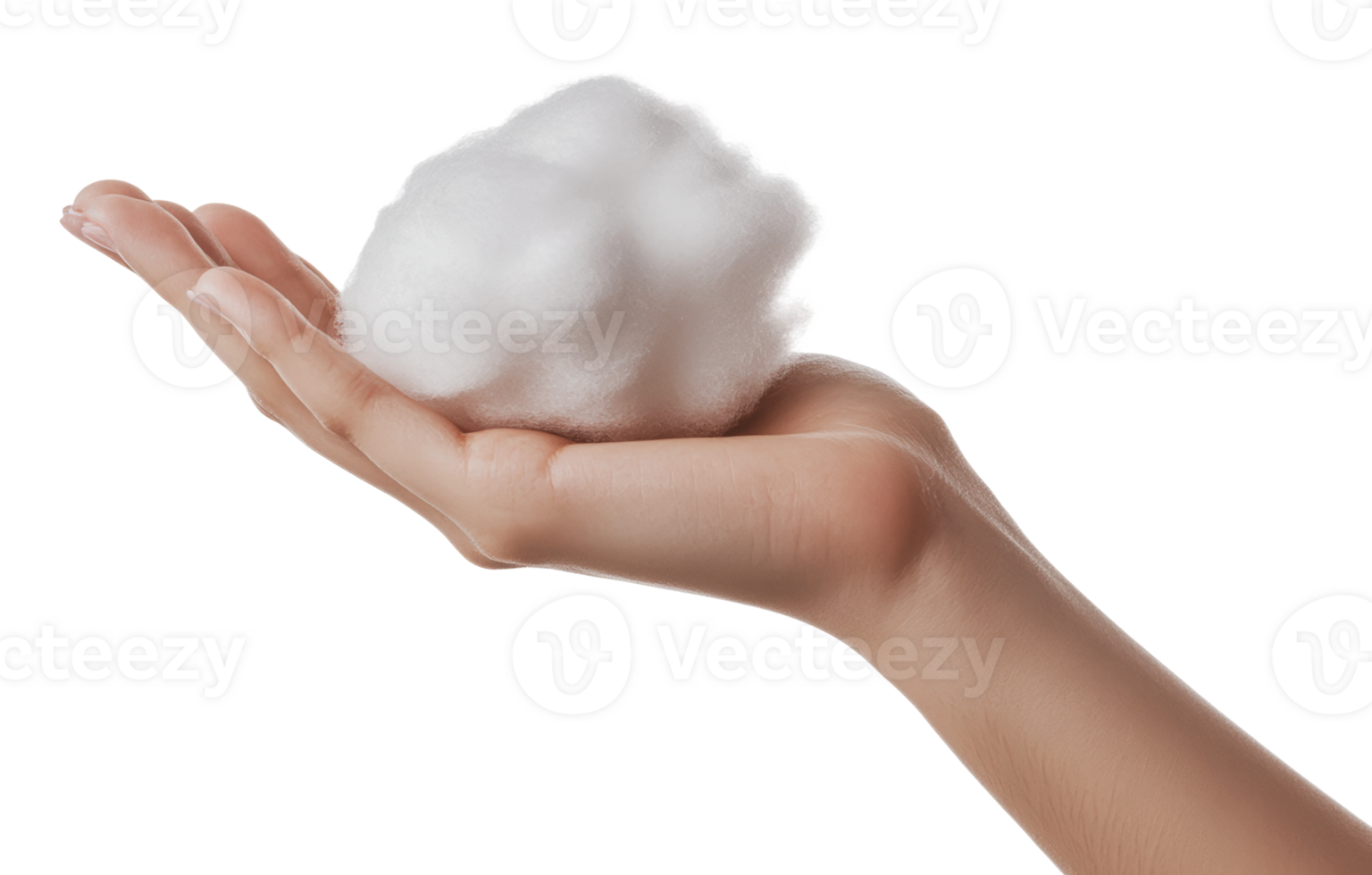 Soft white cotton fluff resting on a palm png