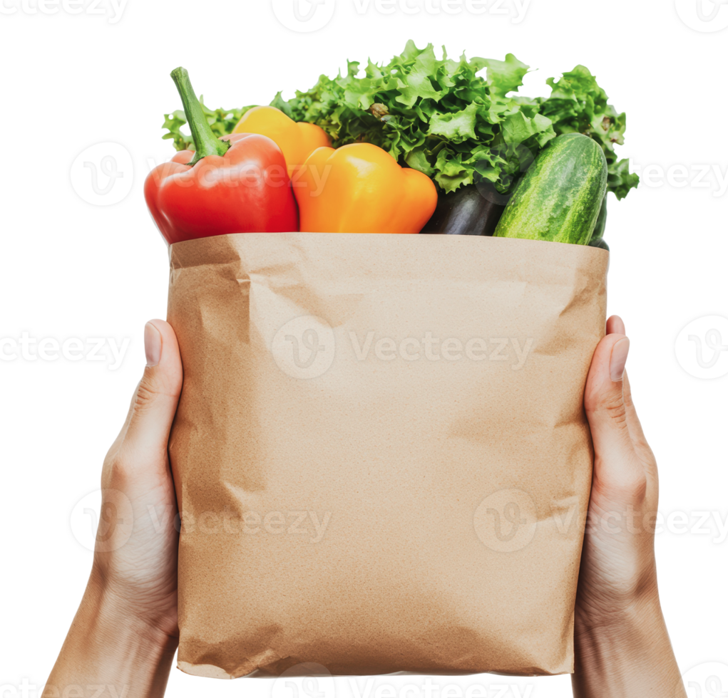 Fresh vegetables in a paper bag held by hands png