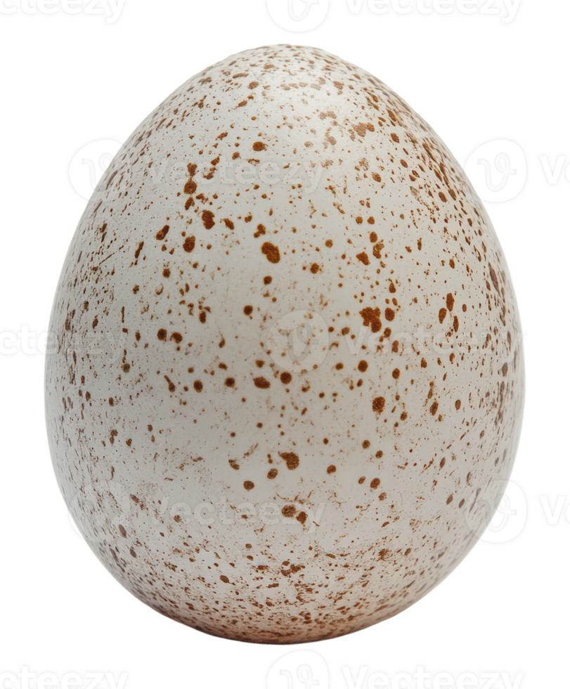 Unique speckled egg discovered in nature setting png