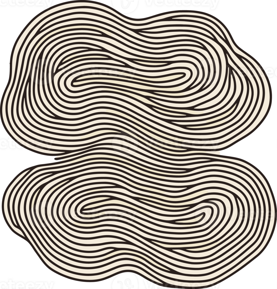 Abstract Black and White Organic Line Patterns on a Fluid Background png