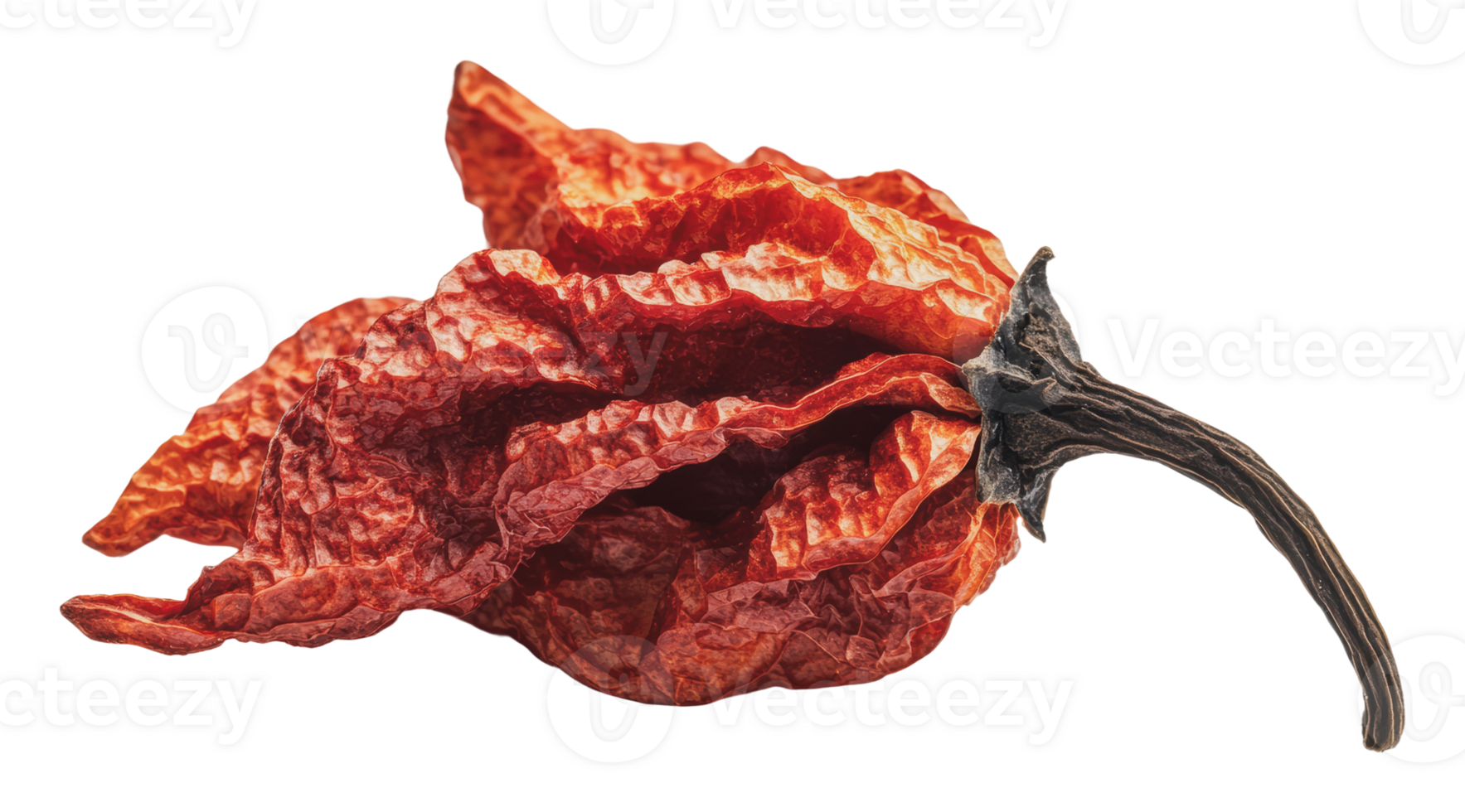 Dried red chili pepper with wrinkled texture png
