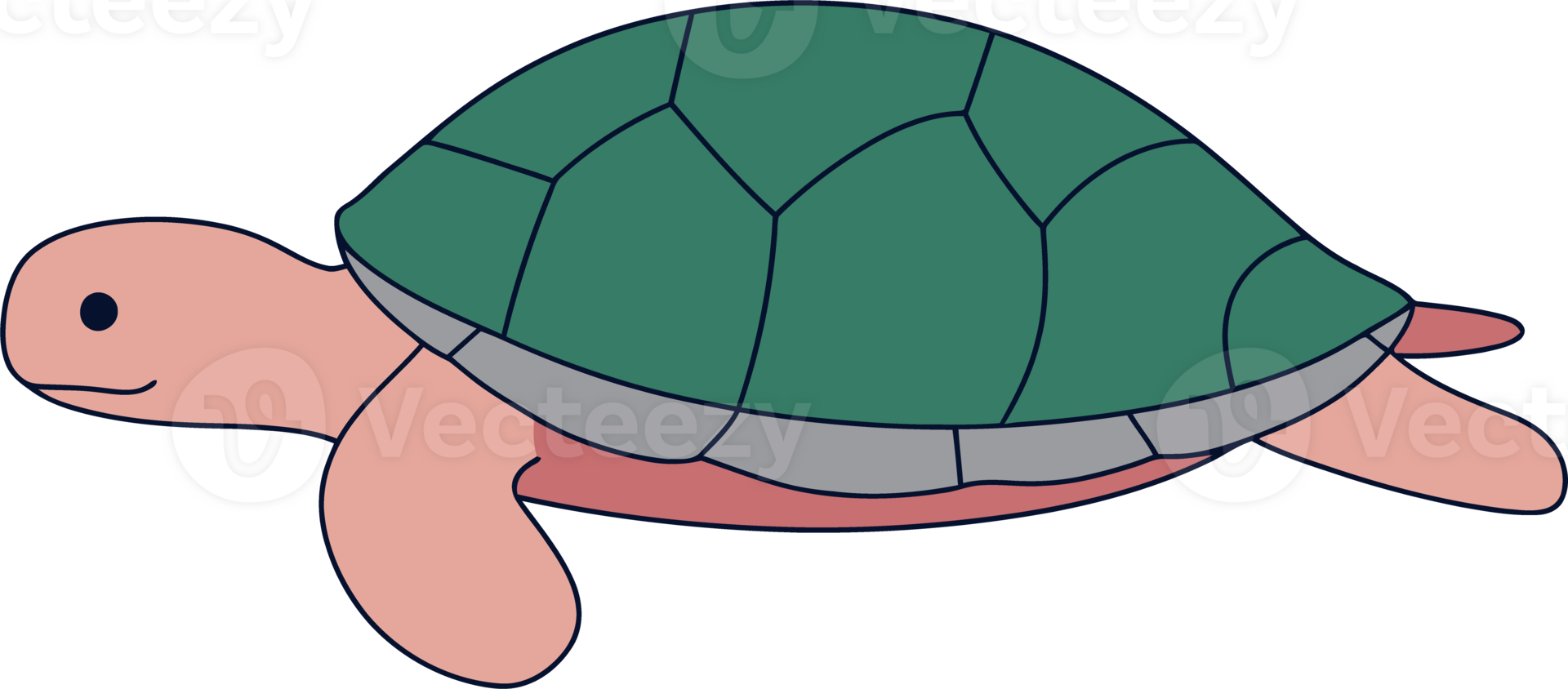 Illustrated Green Turtle with Shell - Marine Life Cartoon Design png