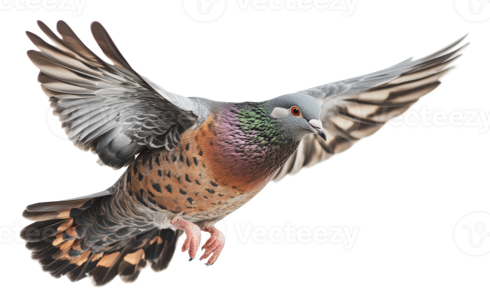 Pigeon in flight over urban landscape in daytime png