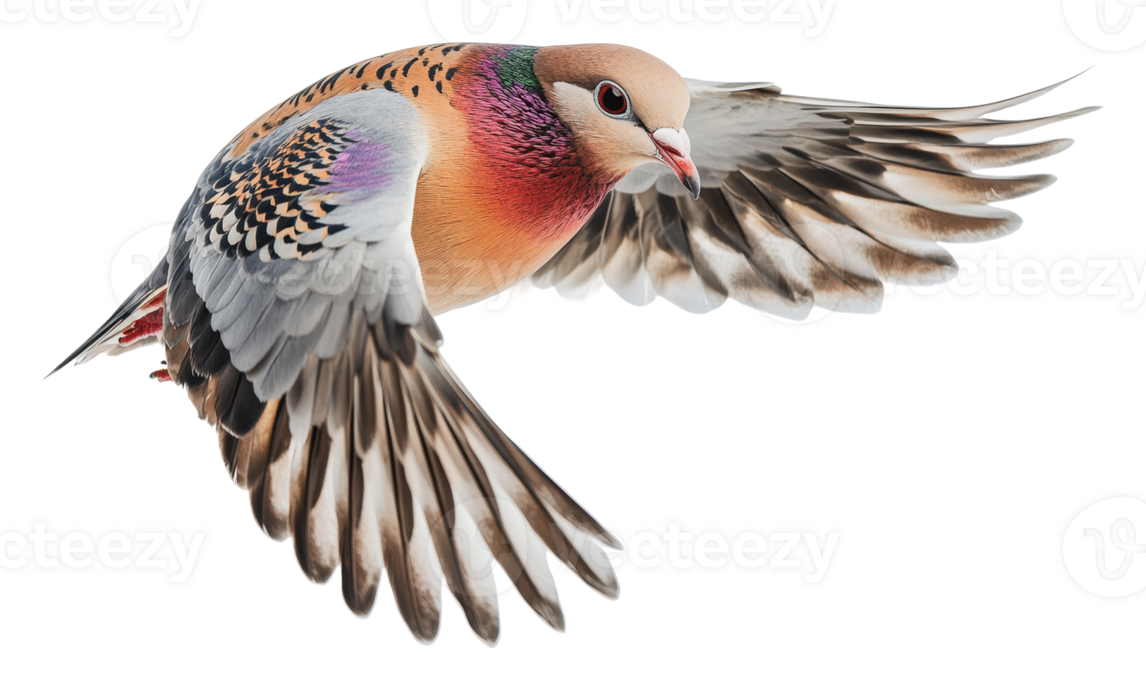 Beautiful bird soaring gracefully in flight png
