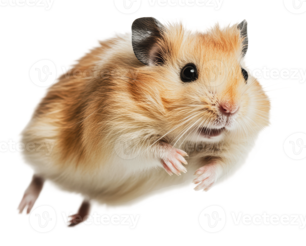 Cute hamster in mid-jump captured in bright light png