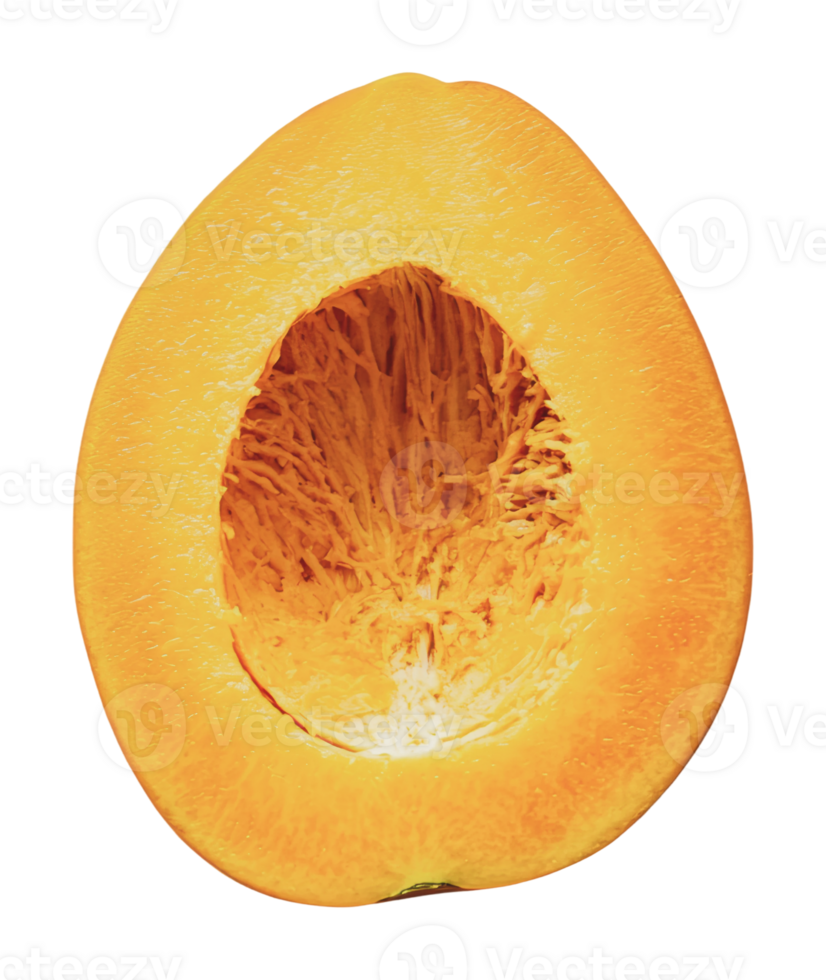 Freshly sliced acorn squash showing inside detail png