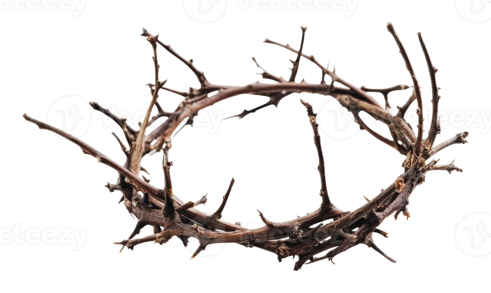 Unique crown made of thorns displayed artistically png