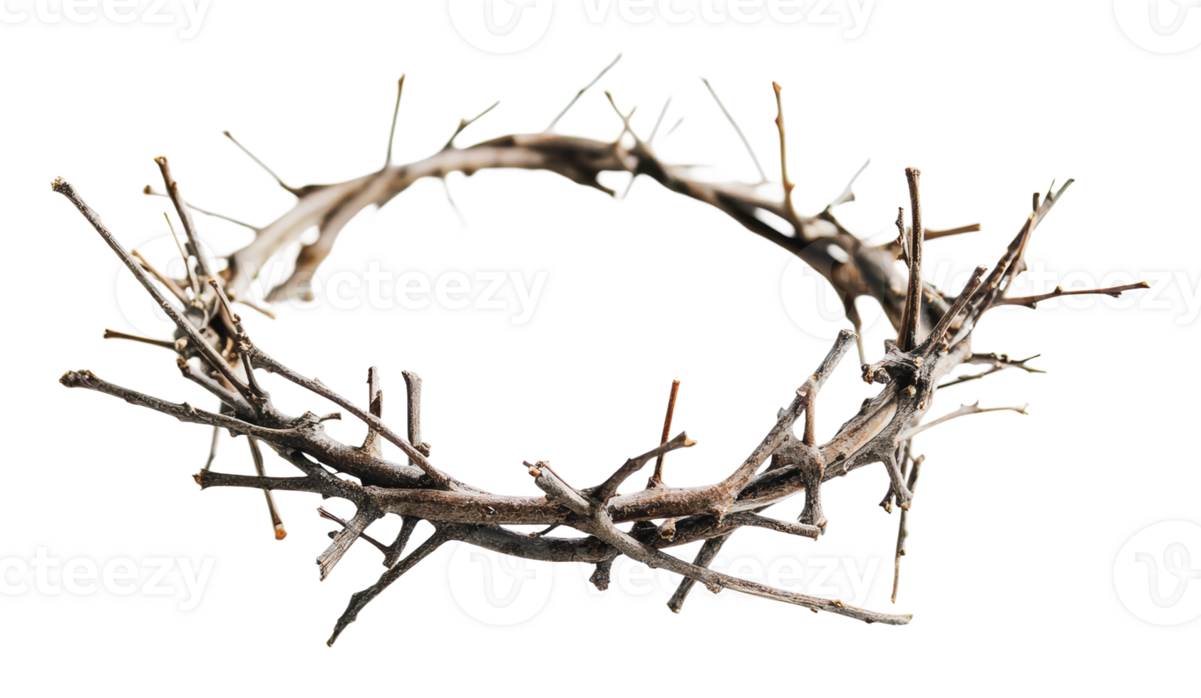 Natural twig crown crafted from twigs and branches png