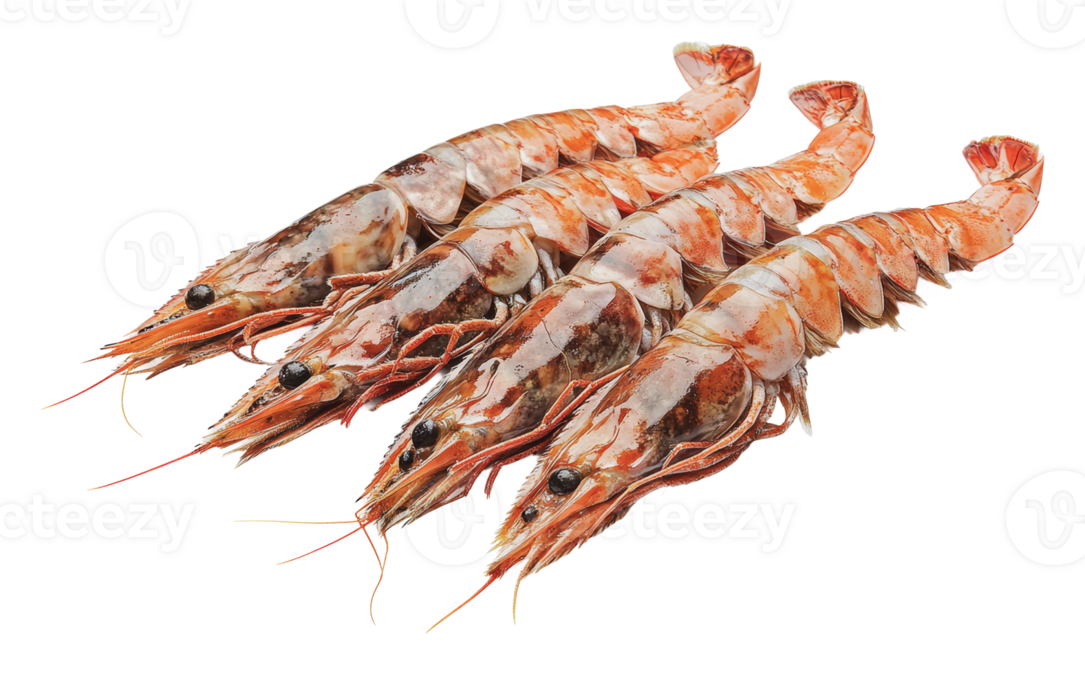 Fresh shrimp arranged in a culinary display png