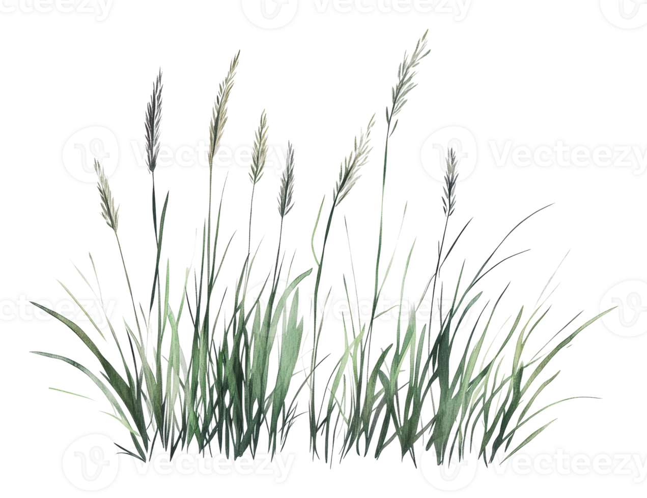 Colorful watercolor grass artwork png