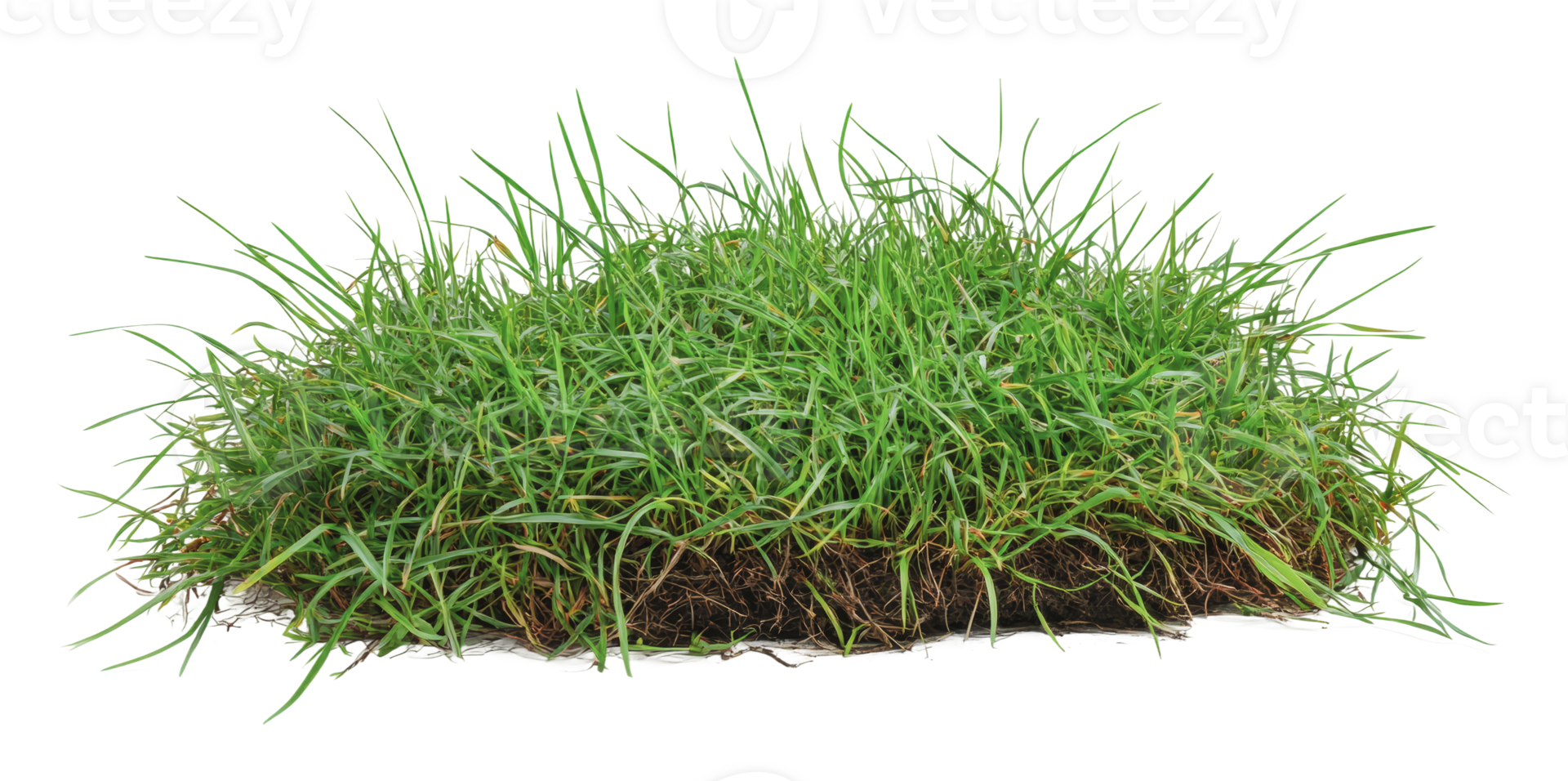 Freshly cut grass clump ready for landscaping use png