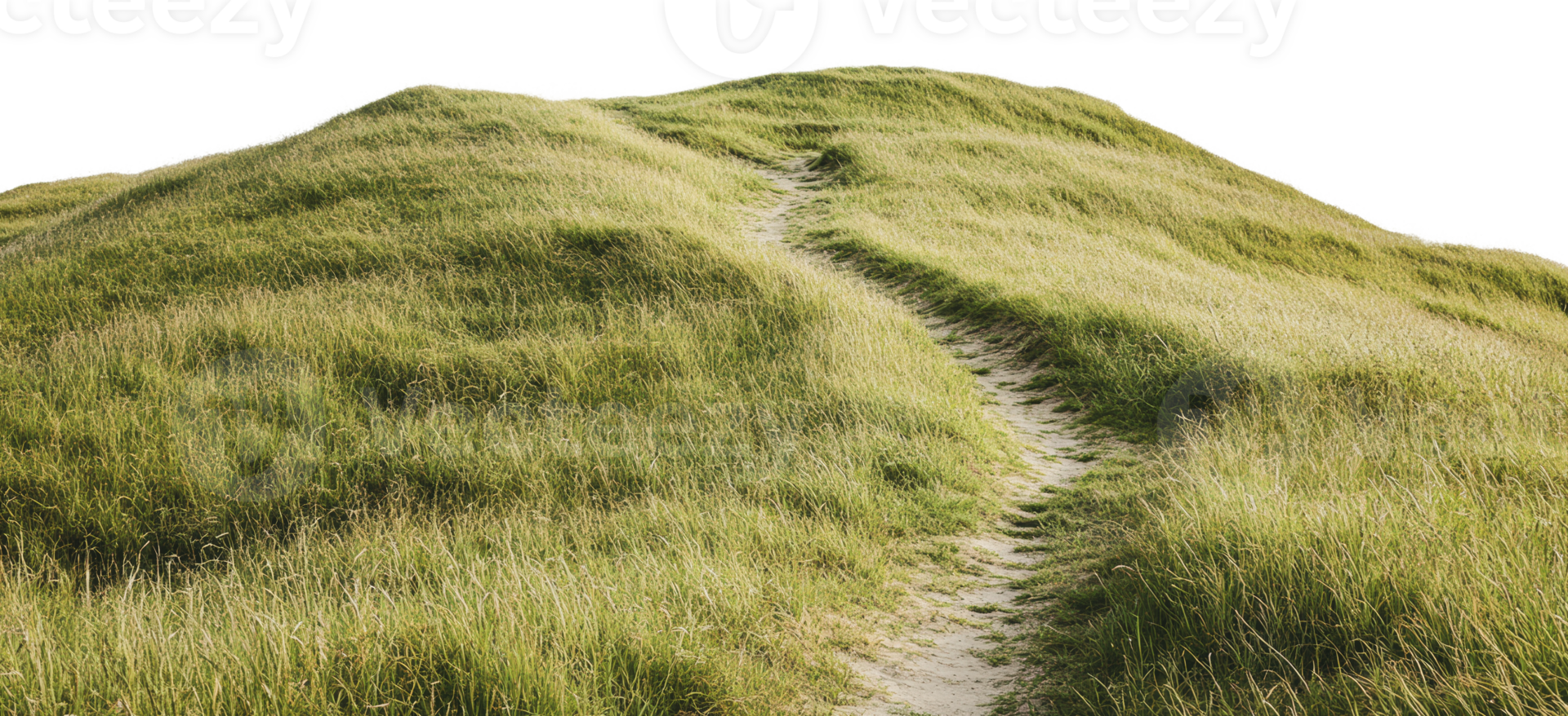 Pathway winding through grassy hills in nature png