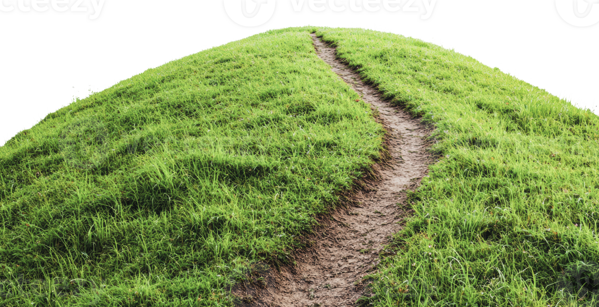 Winding path through lush green hilltop landscape png