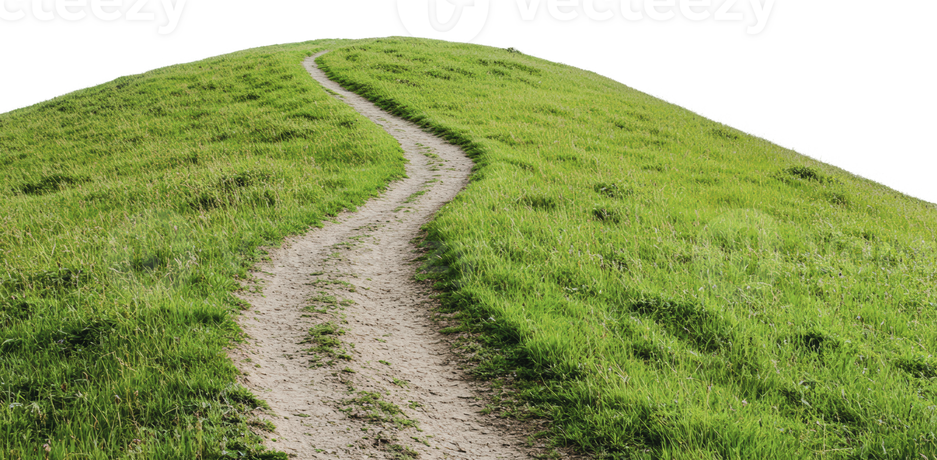 Winding path through lush green hillside landscape png