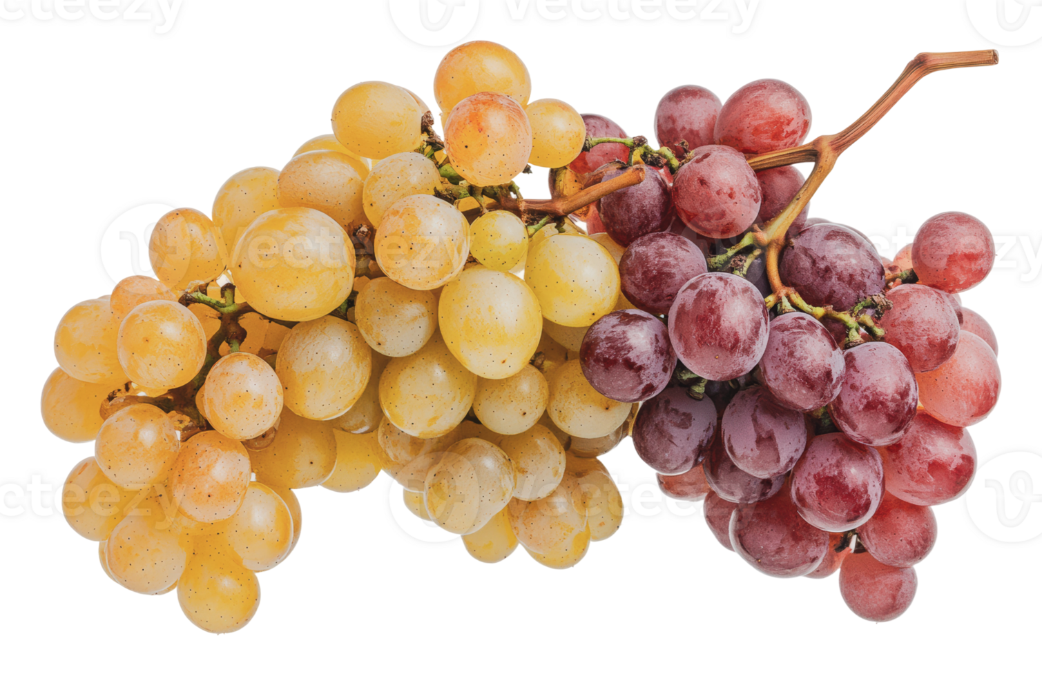 Fresh grapes in various colors and types png