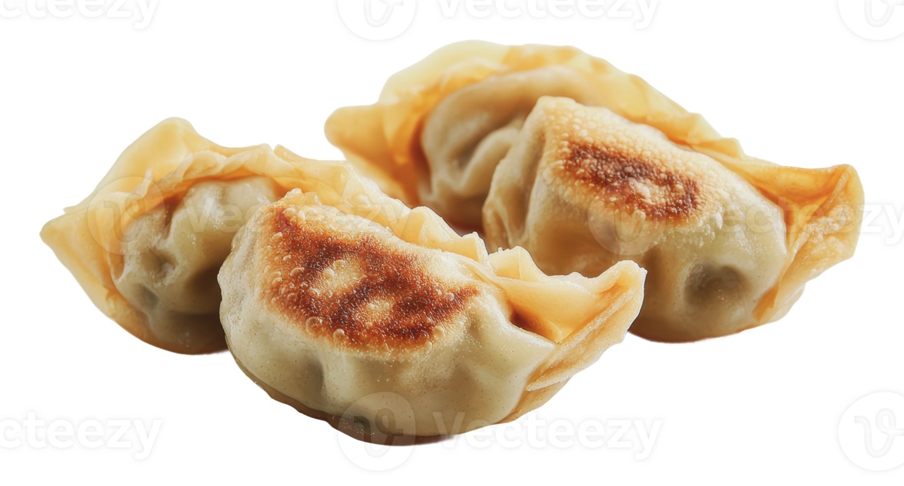 Delicious dumplings with golden brown bottoms png