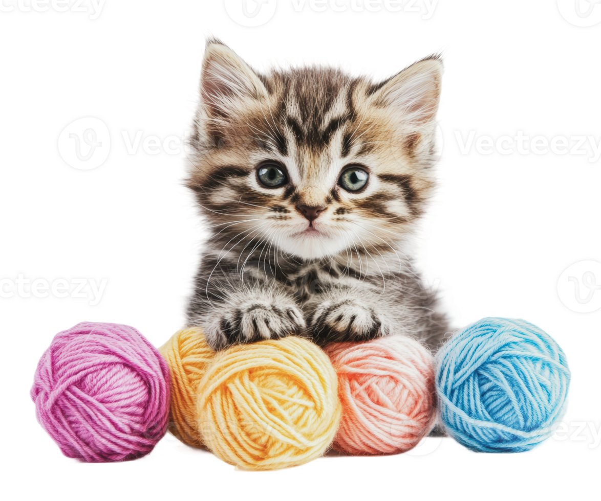 Playful kitten surrounded by colorful yarn balls png