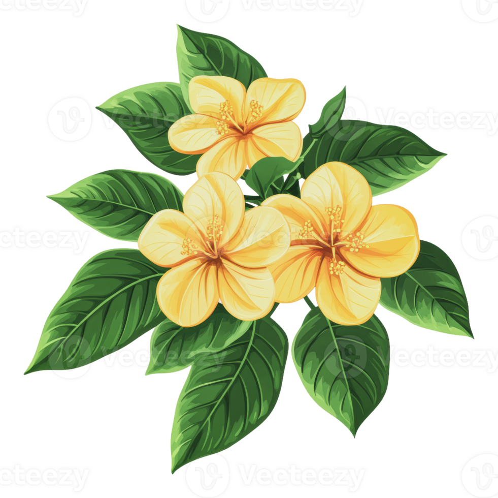 Yellow flowers with green leaves png