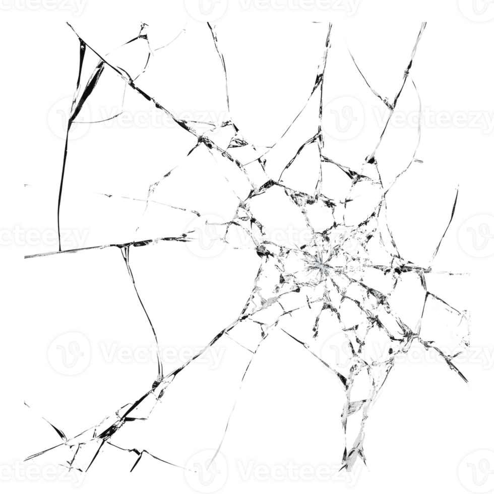 Intricate web pattern found in natural setting png