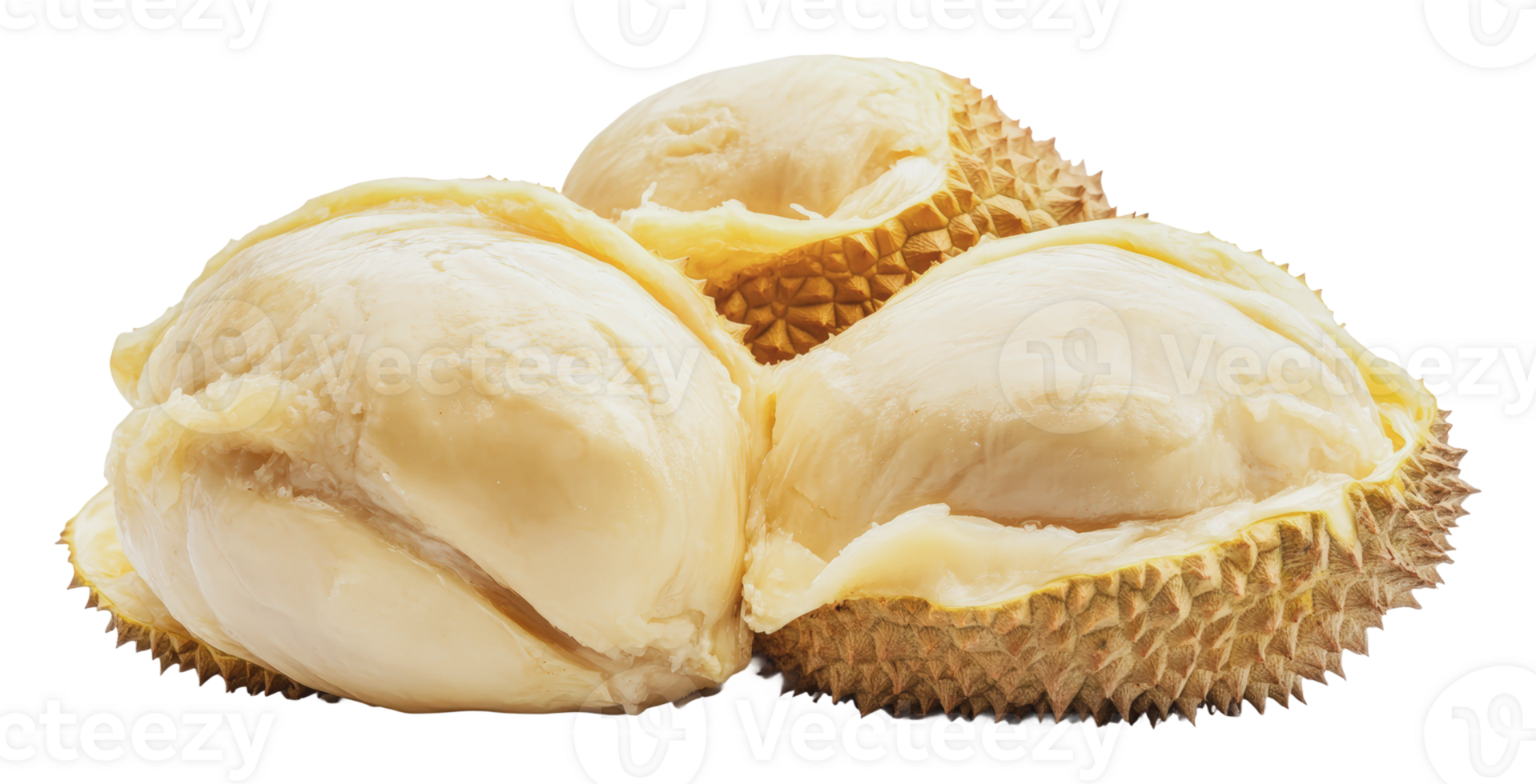 Durian fruit in natural form ready to eat png