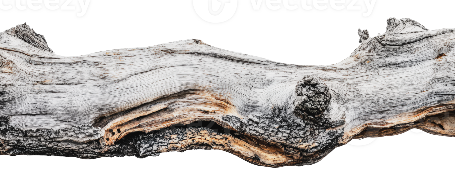 Intricate textured driftwood piece png