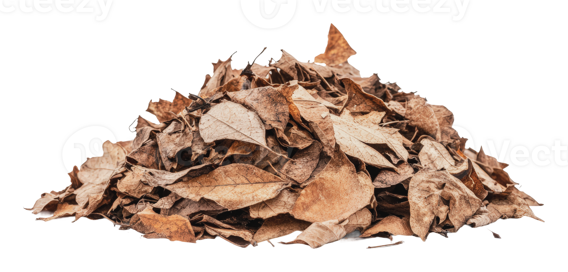 Pile of dried leaves ready for composting png