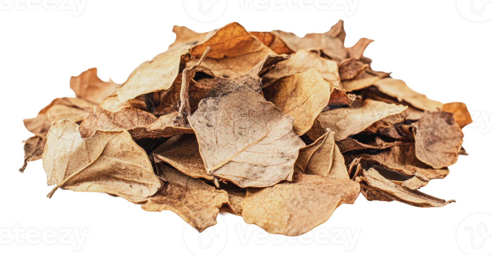 Fallen dry leaves collected in a natural pile png