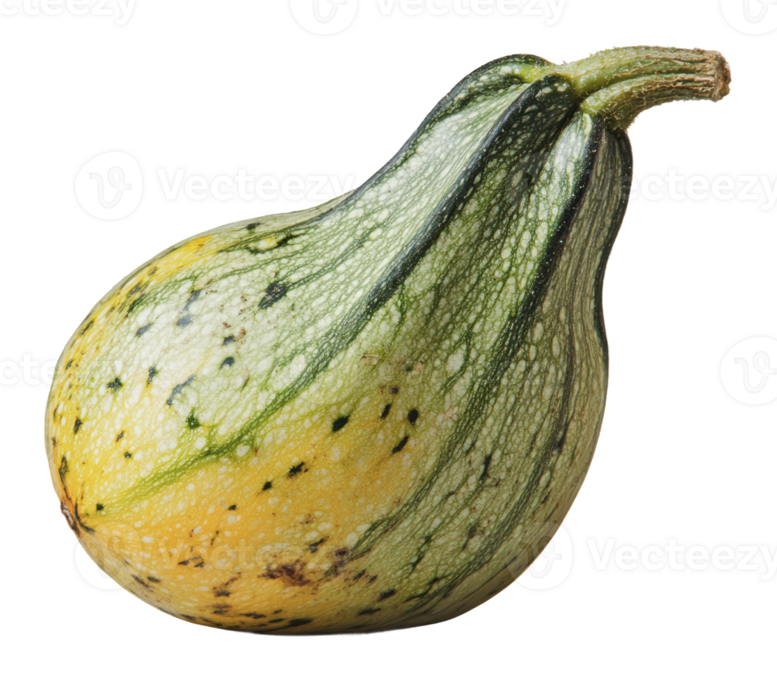 Fresh acorn squash on a white background png