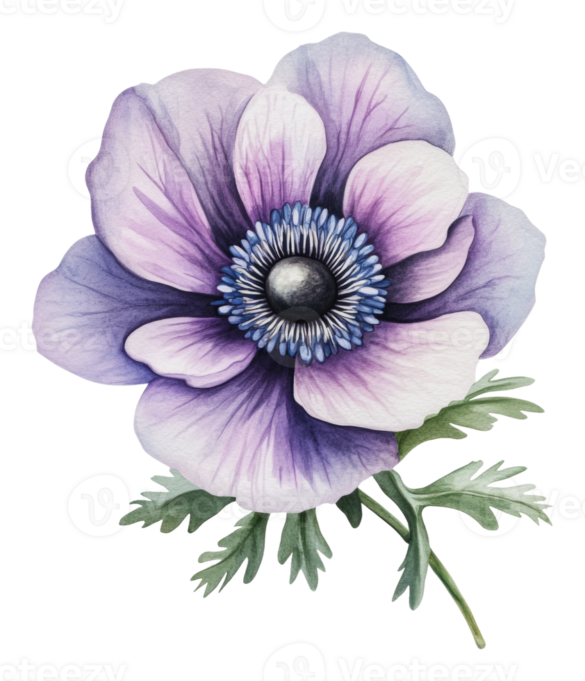 Delicate purple flower with green leaves png