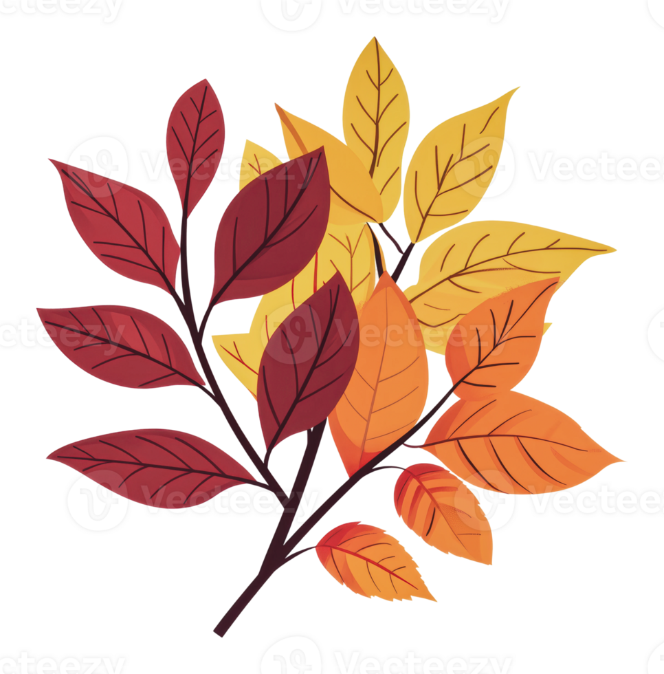Colorful autumn leaves on white png