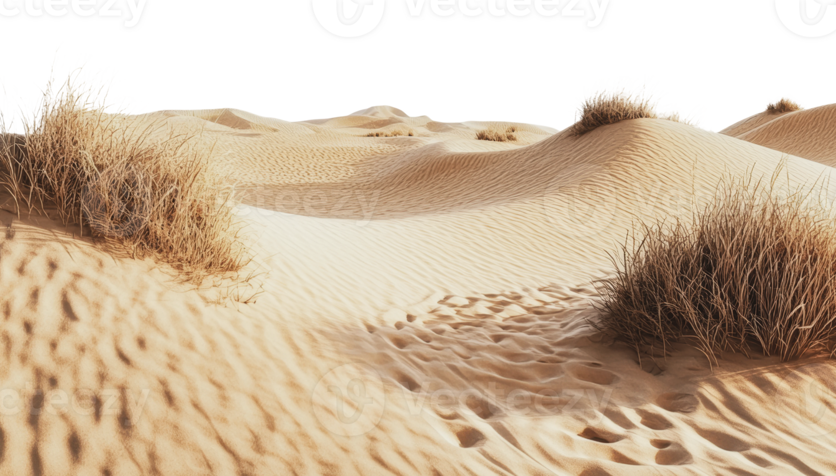 Desert with gentle dunes and grass png