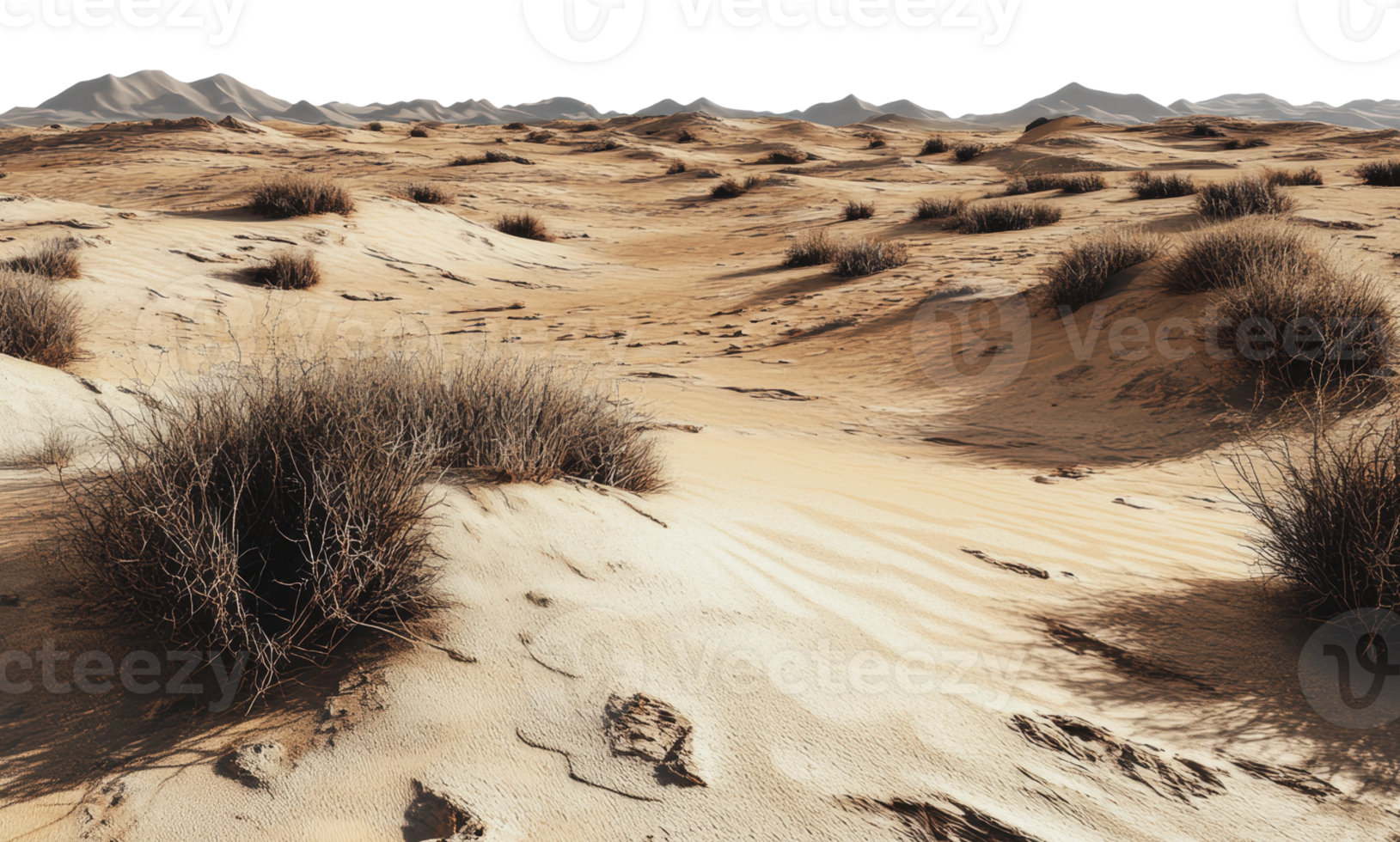 Sunlit desert with sparse plants png
