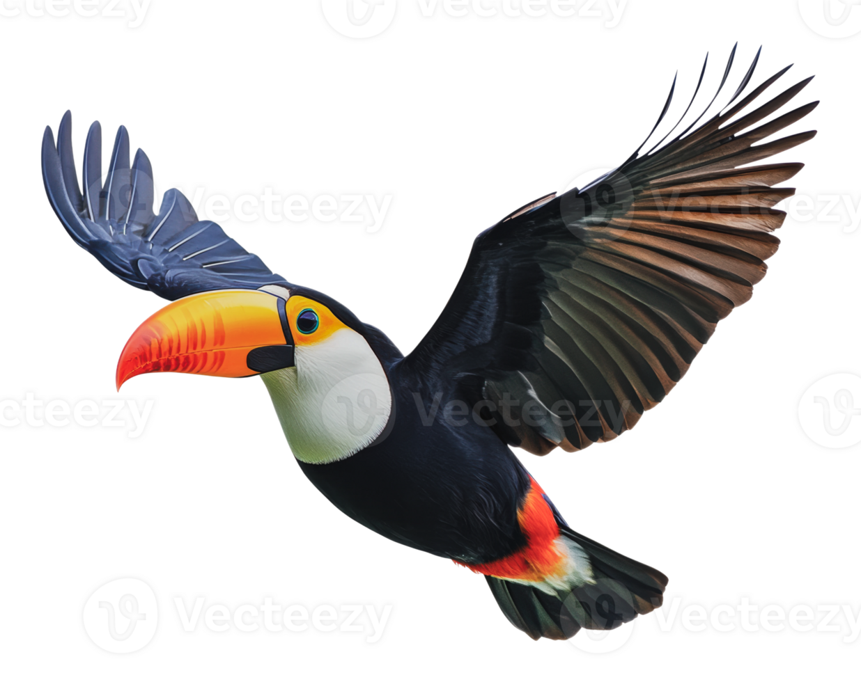 Colorful toucan flying in a clear sky png