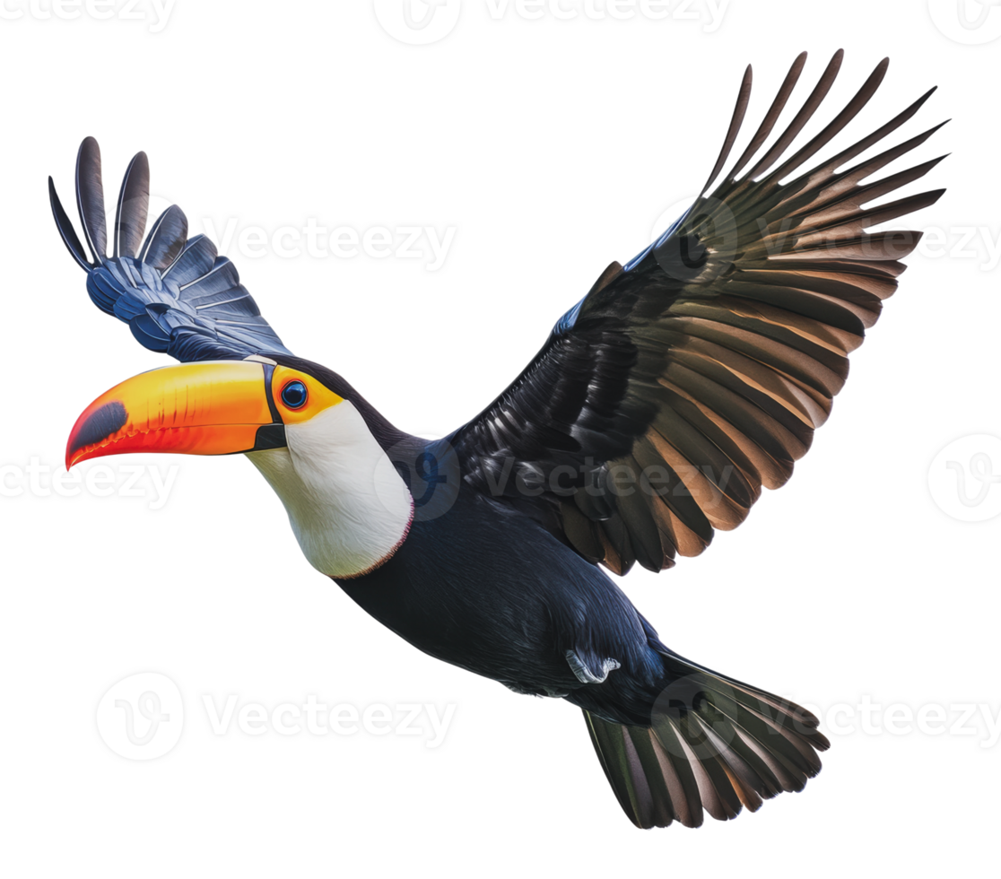 Brightly colored toucan in mid-flight over forest png