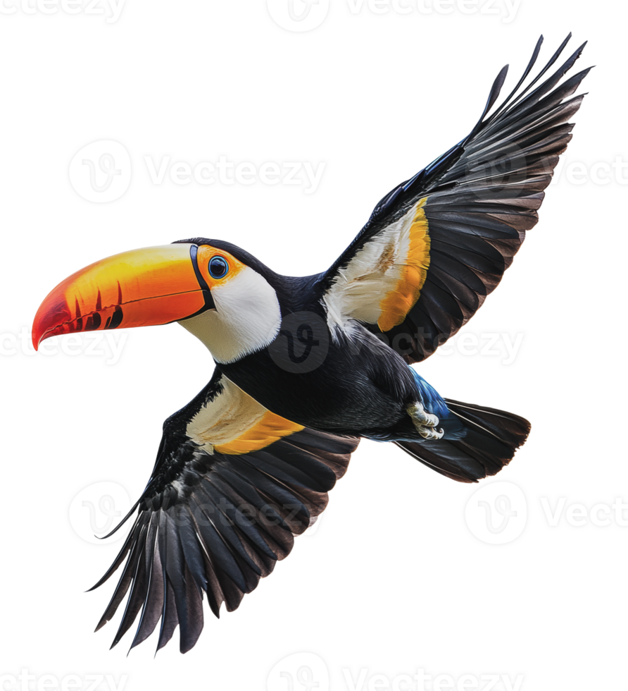 Vibrant toucan soaring through blue sky png