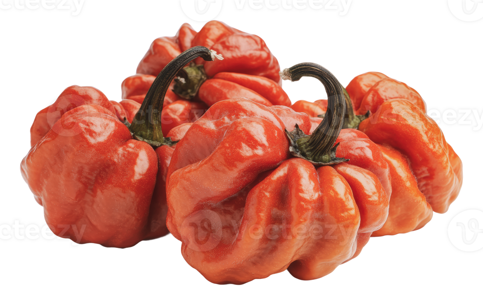 Unique red peppers displayed on a white background png