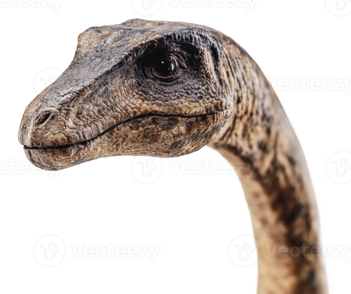 Realistic dinosaur model head in close view png