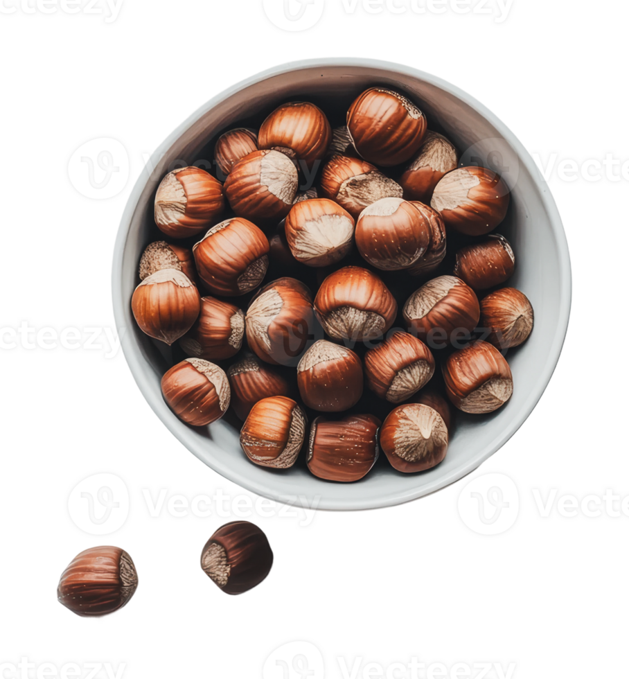 Freshly harvested hazelnuts in a bowl png