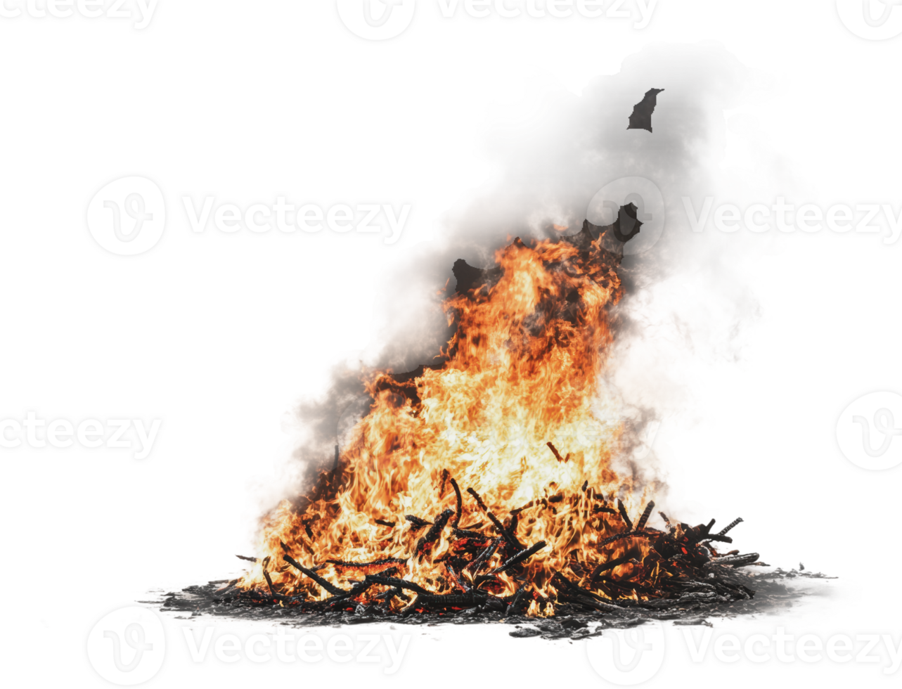 Flames engulfing dry branches in a fiery blaze png