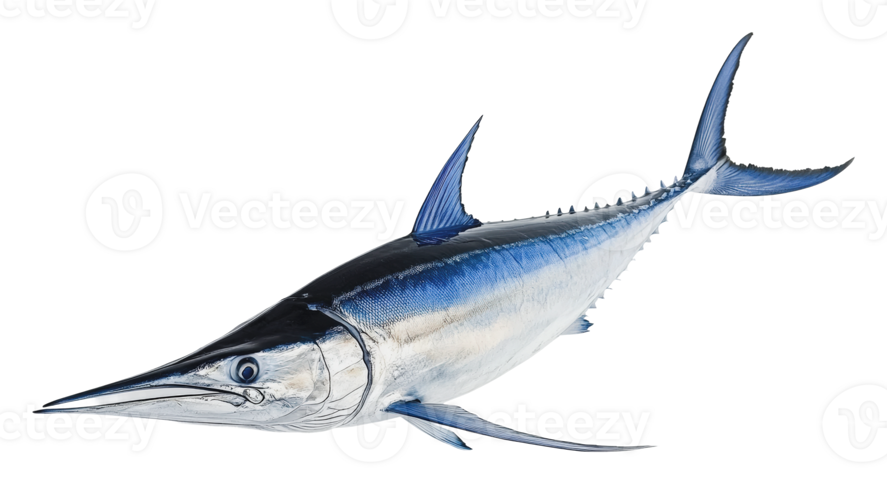 Large swordfish swimming in open water png