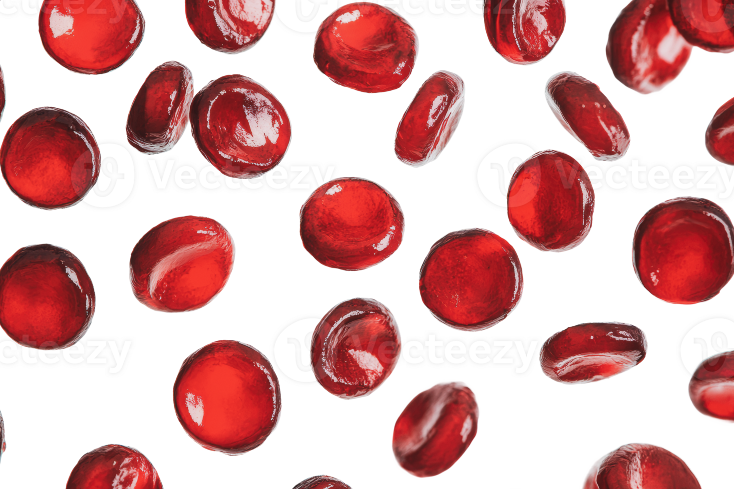 Red blood cells scattered over a white background png