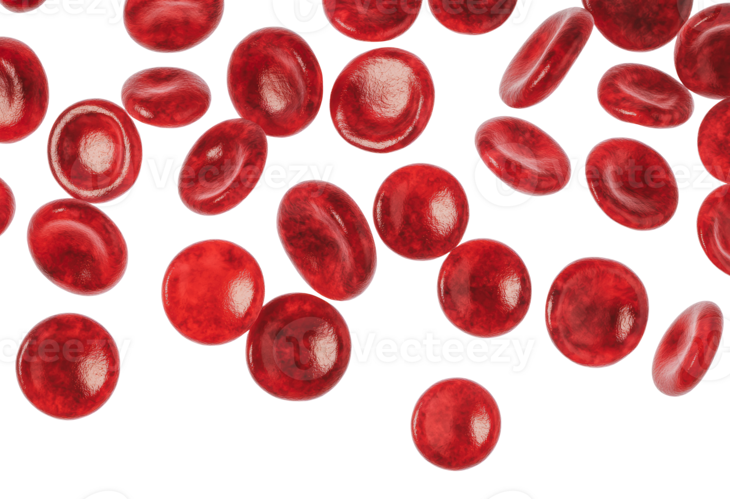Red blood cells scattered on a white background png